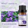 GREENSLEEVES Essential Oil - 10ml (Violet)