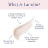 Lanolips Lano Rose Hand Cream Intense