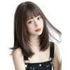 Wig, Medium Straight Natural Wig, Full Wig, Semi-Long Layer, Women's, Wig, Net Included, Ash Brown
