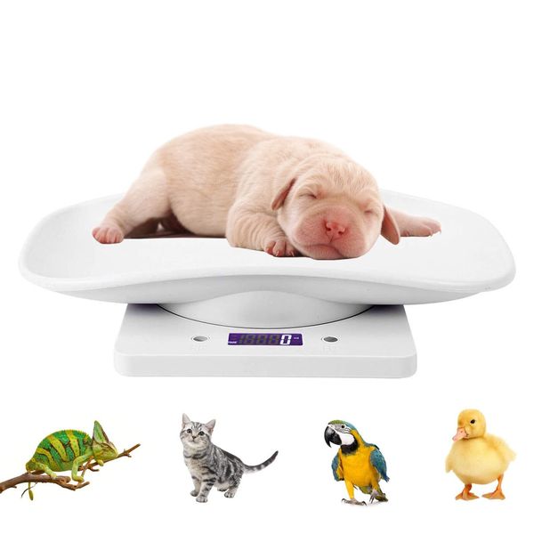 Digital Pet Scale Portable Lcd Electronic Weighing Scale With Traymax. 33 Lbs