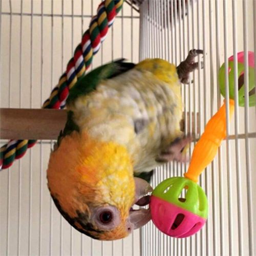 Junfamilee 2 Pcs Bird Parrot Toy Rattle Birds Fun Exercise Plastic Double-Headed Bell Pet Toys Small and Medium Birds Foraging Foot Toy,Bird Toys, Pet Supplies