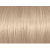 Natural Ash Blonde Toner 010A