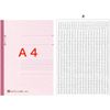 Exam A4 ajiki (Pi Ratio _ Prime)