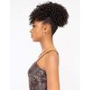 Janet Collection Playful Pineapple SQUIGGLE Ponytail (1B)