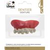 Dentier appareil dentaire