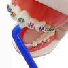 2 x Slim Interspace Toothbrush ~ Blue Brushes for Orthodontic Braces & Bridges