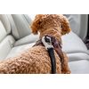 Car Safety Belt V2 L