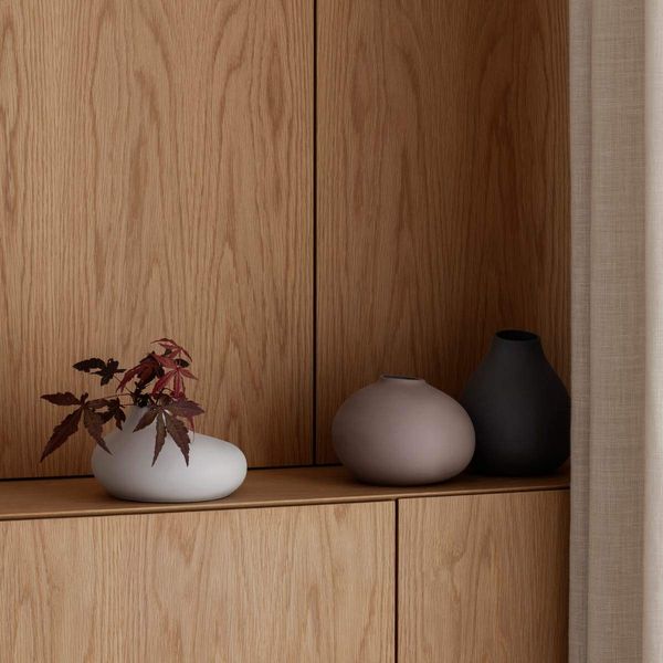 Blomus Vase-65971 Vase, Micro Chip, One Size