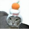 Costume Stacked Sweets - Shaped Hat For Dogs or Cats