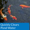  API Pond Care AccuClear 16 oz. Pond  Water Clarifier 142 B