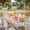 Over The Table Rod Stand with Clamp Wedding Party Arch Decor 28"-98" Adjustable