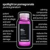 Facewater Plant Venom Ceramides Serum Water