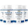 Fungus Exodus- Skin & Nail Support- 4 Bottles- 240 Capsules