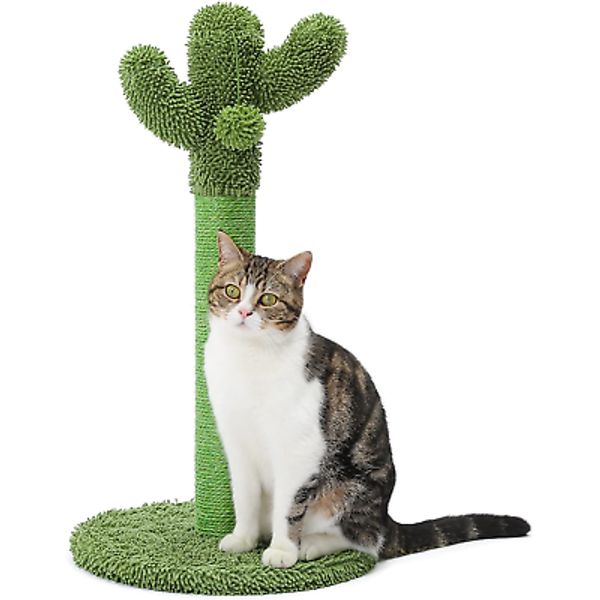 Made4Pets Cat Scratching Post Cactus Cat Scratcher Kitten Scratching Post with