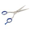 Kiepe Studio Style Formula – Scissors 51/2 "
