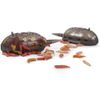 Korum Swivel Grub Feeders Mini (15g)