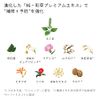 Ichikai Color Care & Base Treatment in Conditioner Pump, 16.9 oz (480 g), Color Care, Damage Care, Sulfate Free