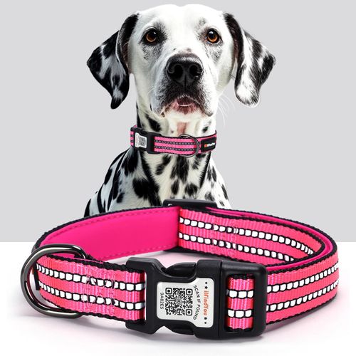 ilFindYou Reflective Dog Collar with QR Code Tag, Personalized Dog Collar, Safety Night Visibility, Anti-Loss Function (Rose Red, Small)
