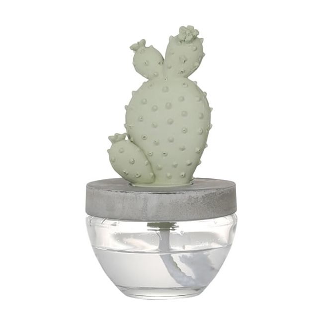 CACTUS FRAGRANCE DIFFUSER CACTUS FRAGRANCE DIFFUSER Bedroom Entrance Living Plant Succulent Cute Gift Present [Next day delivery]