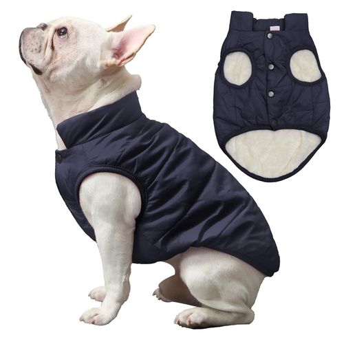JoyDaog 2 Layers Fleece Lined Warm Dog Jacket for Puppy Winter Cold Weather,Soft Windproof Small Dog Coat,Blue M
