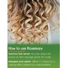 2 Bottles - 16 fl oz Rosemary Essential Oil (100% Pure & Uncut), Aluminum Bottle - GreenHealth
