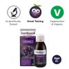 Sambucol Black Elderberry Original Liquid, 120 ml