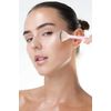 Brushworks HD Fan Brush