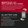 DR Power Equipment Power Wagon  Lawn Mower and Tractor Replacement Battery