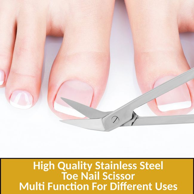 Long Handle Toenail Scissor Angled Blades Trimmer Cuticle Scissor Stainless  Steel Thick Ingrown Nail Scissors for