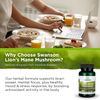 Swanson Lion's Mane Mushroom Capsules - 500 mg Each, 60 Capsules - Herbal Supplement Supporting Cognitive Function (2 Pack)