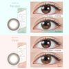 Color Contacts TOPARDS Topaz Rino Sashihara Sassy One Day 10 pieces Date Topaz (No degree) [0.00]