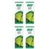 (4 PACK) - A Vogel - Ginkgo Biloba | 100ml | 4 PACK BUNDLE
