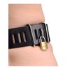 Strict Leather Female Chastity Belt