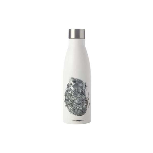 Maxwell & Williams Marini Ferlazzo Insulated Water Bottle with Koala and Friends Design, Double Wall Stainless Steel, White, 500 ml