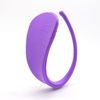 nemoP C String with Secret Pocket (Purple) [Lingerie that Can Store Rotor in Pocket]