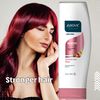 Above Nutrition Conditioner for Unisex - 10.9 oz Conditioner