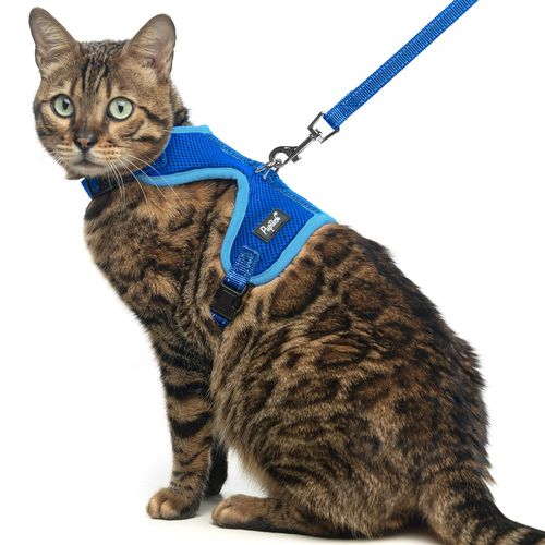 PUPTECK Cat Harness and Leash Set Escape Proof, Reflective Adjustable Soft Mesh Kitten Vest Harness for Walking Travel, Navy Blue, M