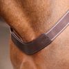 Shires Velociti Rapida Elastic Breastgirth Pony Black