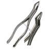 German EXTRACTING Forceps NO 65 Dental Surgical Instruments Extraction Forceps