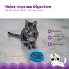 Catstages Cat Slow Feeder Cat Bowl, Blue