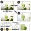 Camera For Extreme Close-up Lens (+ 2) (diameter: 62 mm)