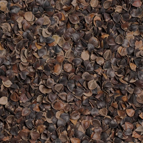 Bean Products Buckwheat Hull Filling - 1 lb