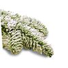 Peak Seasons 11101 25 Lbs White Sno-Bond Flock