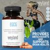 EGCG Green Tea Extract, Polyphenols Supplement, 400mg, 100 Te Verde Capsules