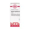 Berberis aquifolium D6 DHU Tabletten, 80 St. Tabletten