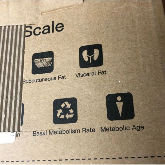 Body Scale CS20N