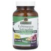 Echinacea & Astragalus, 90 Vegetarian Capsules