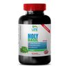 Magnesium Supplement - Holy Basil Extract 750mg - General Wellness Capsules 1B