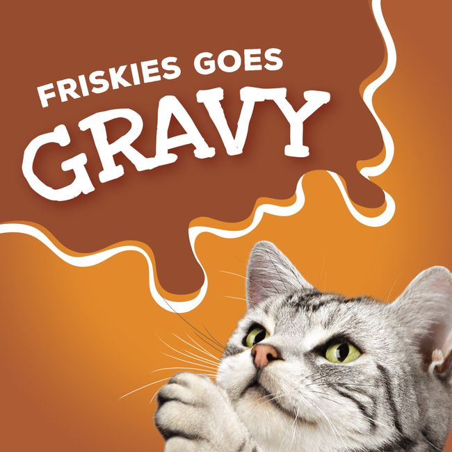 ✓ Purina Friskies