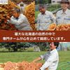 鹿角 Lingzhi capsule 旺煌 120 Grain